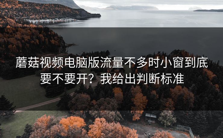 蘑菇视频电脑版流量不多时小窗到底要不要开？我给出判断标准