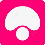 蘑菇视频PC端 - 大屏专享