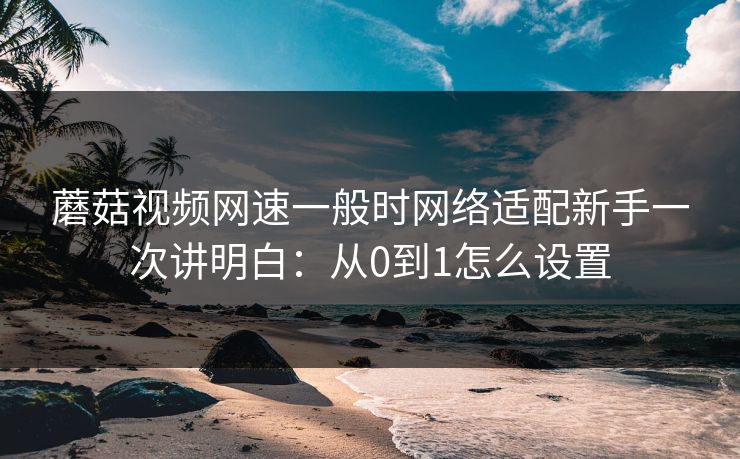 蘑菇视频网速一般时网络适配新手一次讲明白：从0到1怎么设置