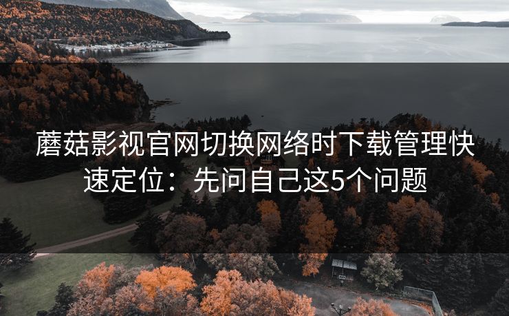 蘑菇影视官网切换网络时下载管理快速定位:先问自己这5个问题 蘑菇影视官网切换网络时下载管理快速定位:先问自己这5个问题