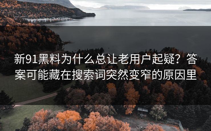 新91黑料为什么总让老用户起疑?答案可能藏在搜索词突然变窄的原因里 新91黑料为什么总让老用户起疑?答案可能藏在搜索词突然变窄的原因里