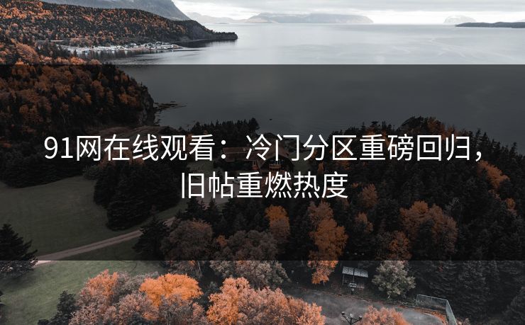 91网在线观看:冷门分区重磅回归,旧帖重燃热度 91网在线观看:冷门分区重磅回归,旧帖重燃热度